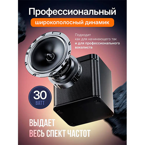 Портативный Bluetooth-динамик 100 Вт профессиональный двойной микрофон караоке внешнее устройство | MK00730