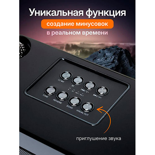 Портативный Bluetooth-динамик 100 Вт профессиональный двойной микрофон караоке внешнее устройство | MK00730