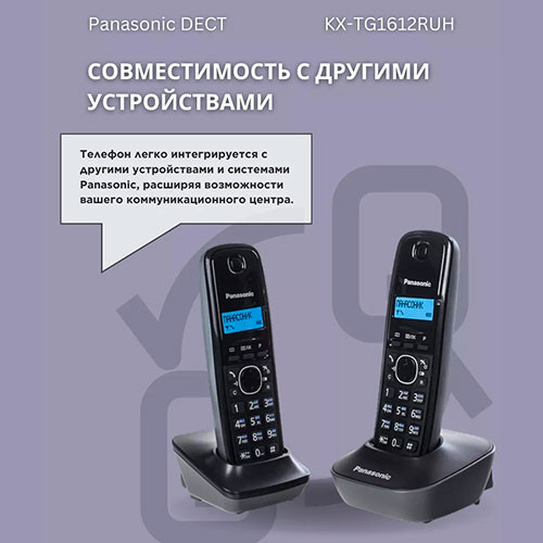 PANASONIC KX-TG1612 (2-in-1) | MK03490