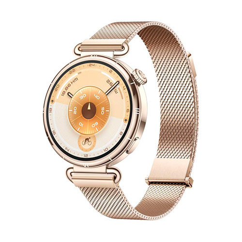 HUAWEI Watch GT6 41mm stainless steel | MK03661