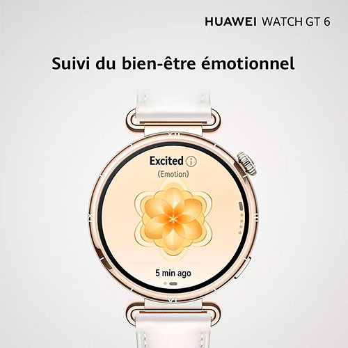 HUAWEI Watch GT6 41mm stainless steel | MK03661